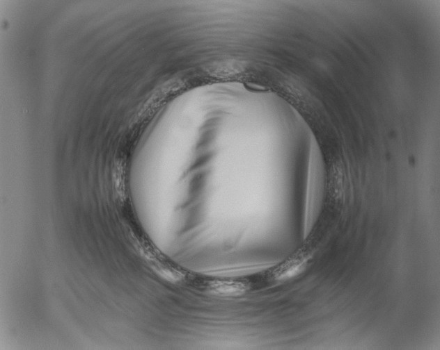 X0000052990234200507291625