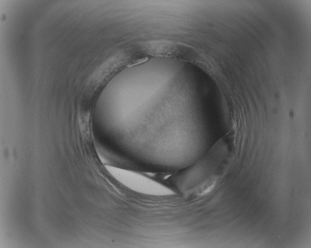 X0000052990239200507291625