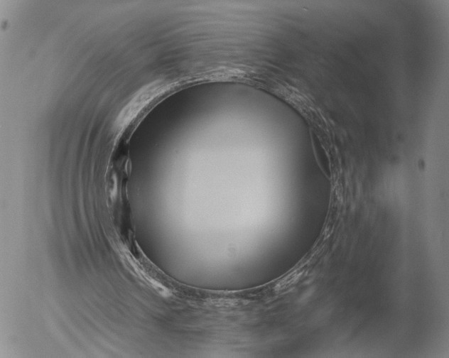 X0000052990242200507291624