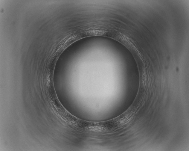 X0000052990259200507291624
