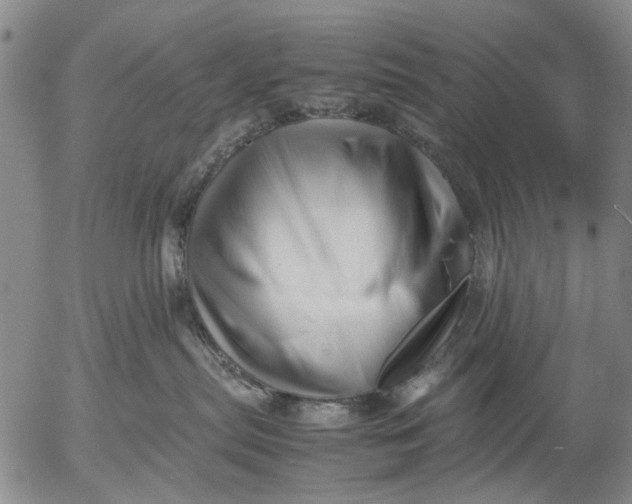 X0000052990287200507291625