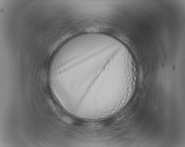 X0000052990297200507291624