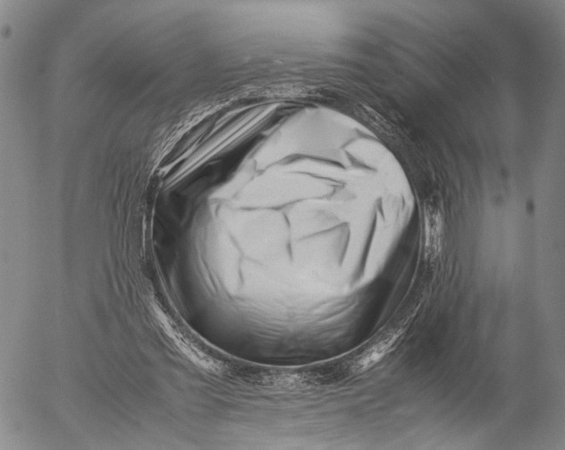 X0000052990301200507291624