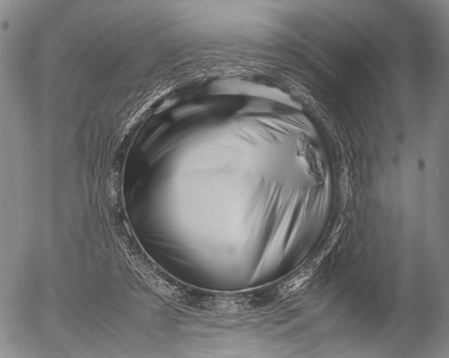 X0000052990305200507291624