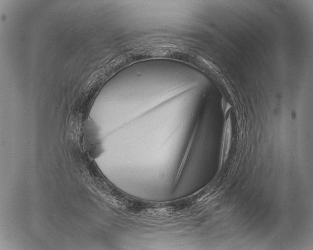 X0000052990307200507291624