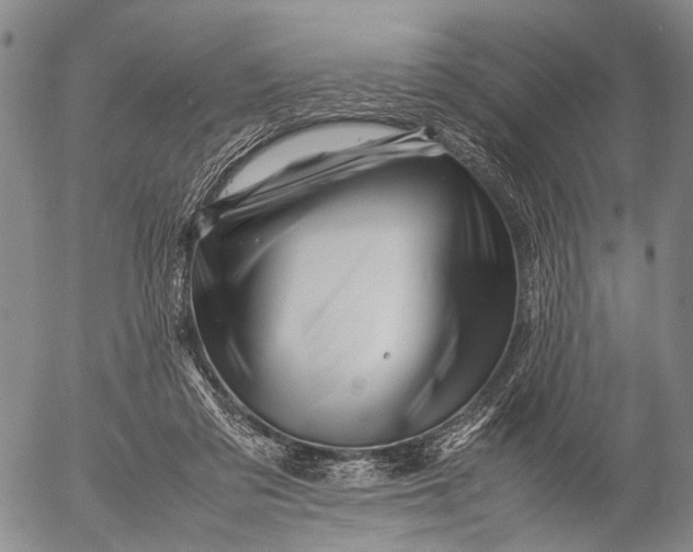 X0000052990309200507291624