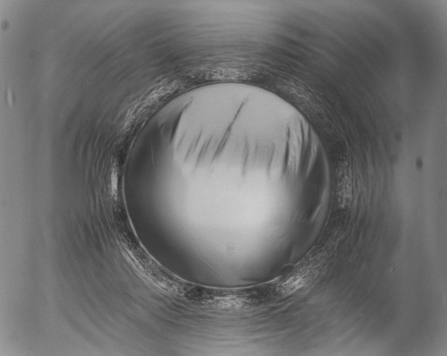 X0000052990310200507291623