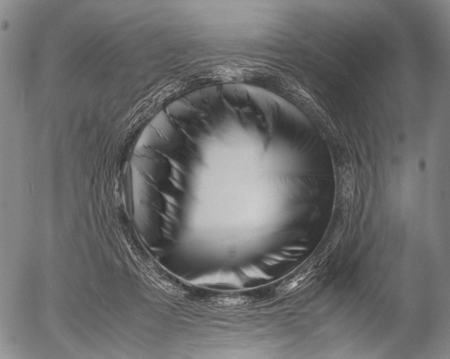 X0000052990313200507291623