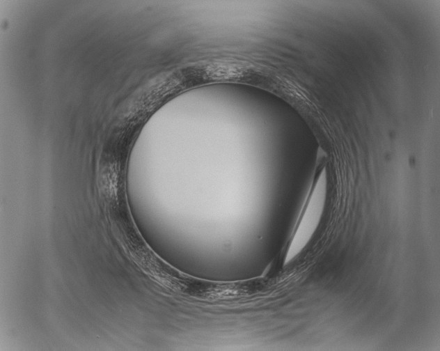X0000052990315200507291623