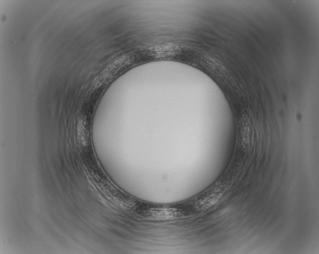 X0000052990316200507291623