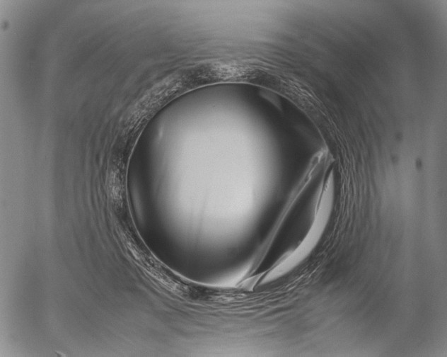 X0000052990317200507291623