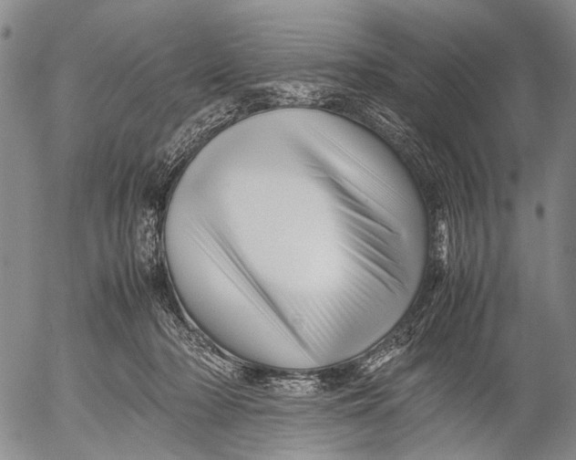X0000052990318200507291623