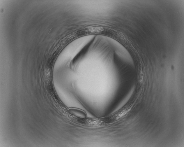 X0000052990321200507291623