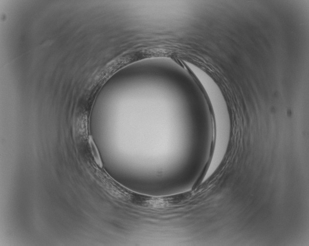 X0000052990425200507291622