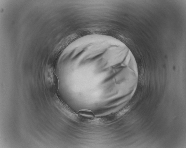 X0000052990430200507291621