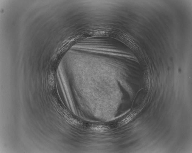 X0000052990467200507291621