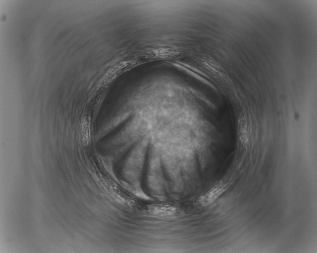 X0000052990471200507291621