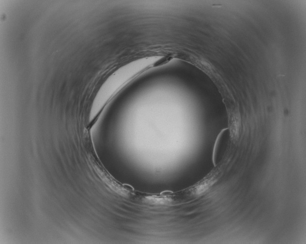 X0000052990477200507291621