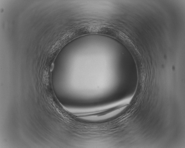 X0000052990497200507291620