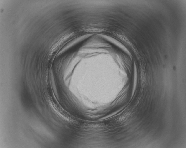 X0000052990533200507291619