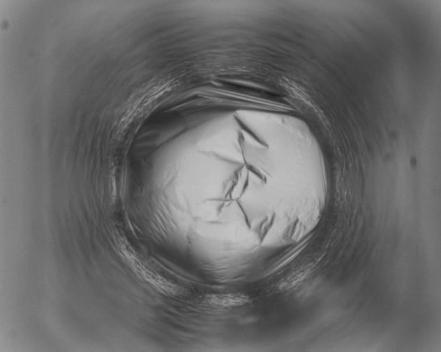 X0000052990541200507291619