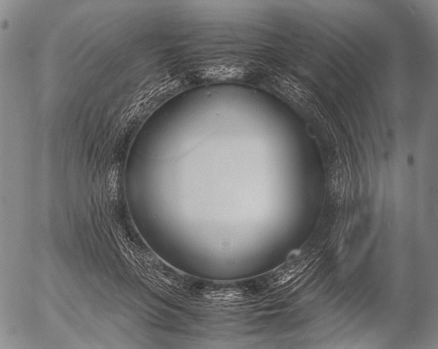 X0000052990551200507291619