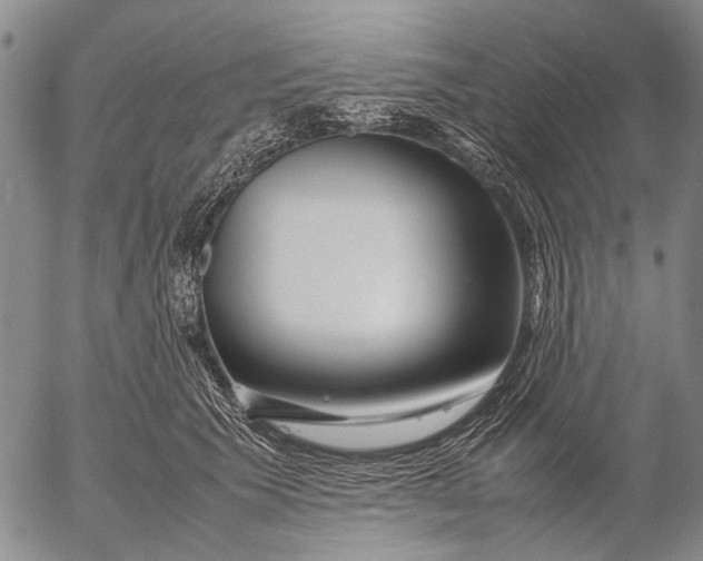 X0000052990609200507291619