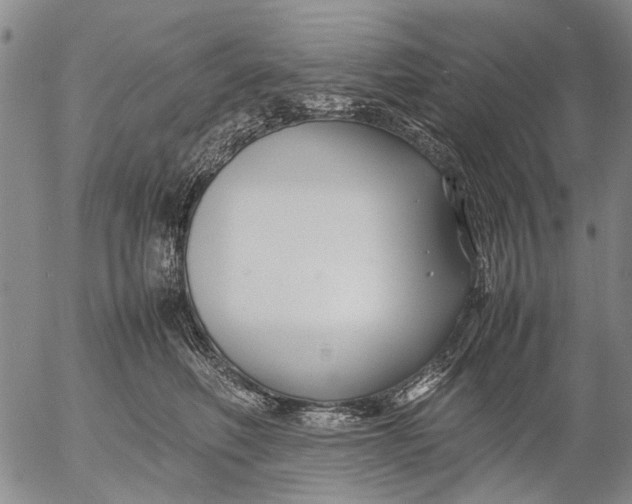X0000052990614200507291618
