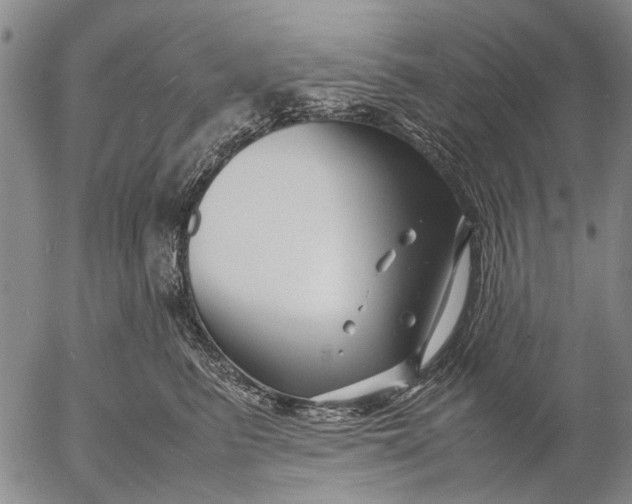 X0000052990615200507291618