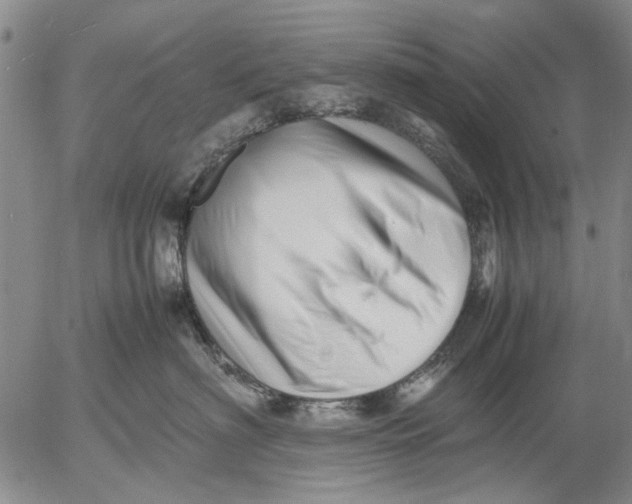 X0000052990622200507291618