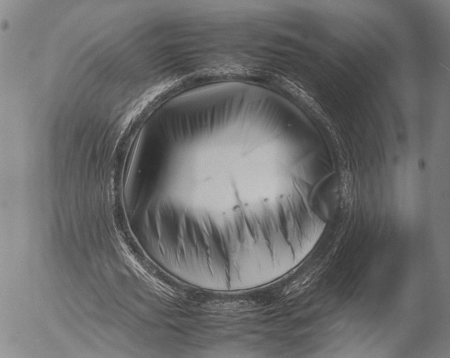 X0000052990629200507291618
