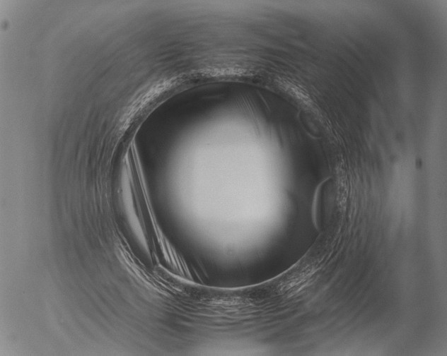 X0000052990631200507291618