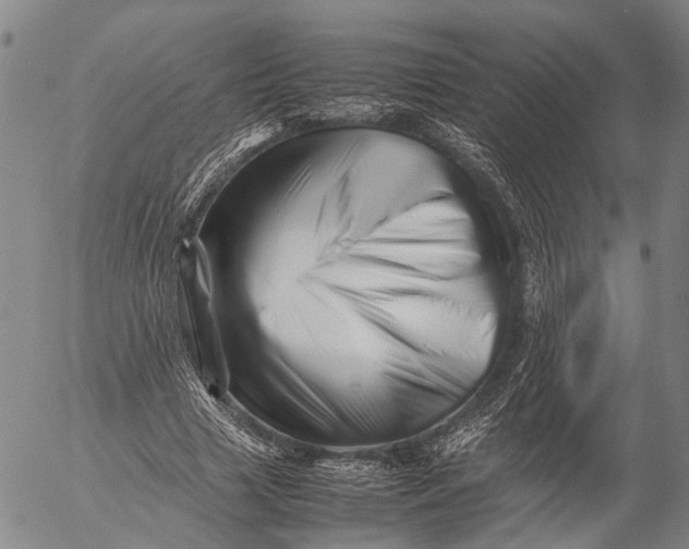 X0000052990633200507291618