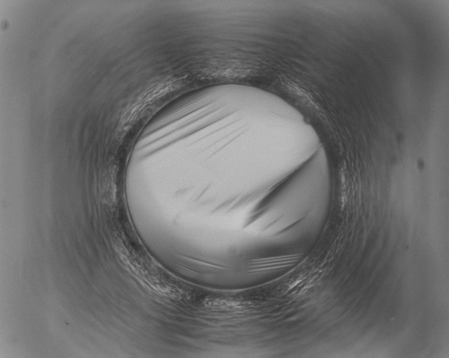 X0000052990635200507291618