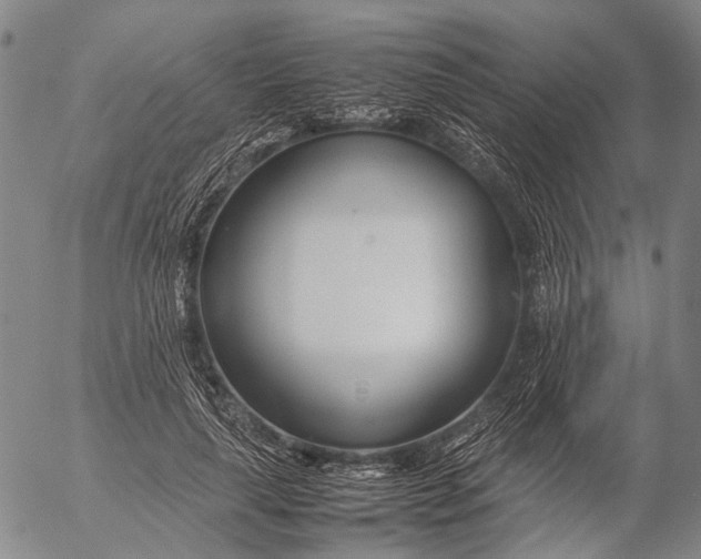 X0000052990643200507291618