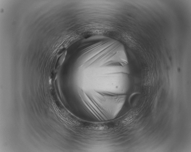 X0000052990646200507291618