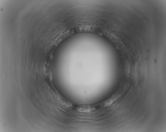 X0000052990661200507291618