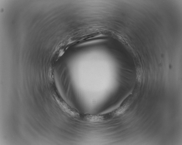X0000052990670200507291618