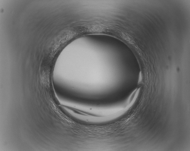 X0000052990681200507291617