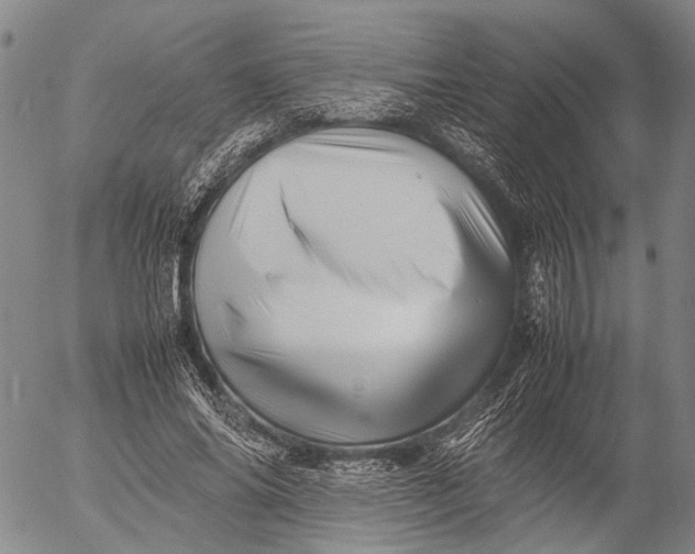 X0000052990686200507291617