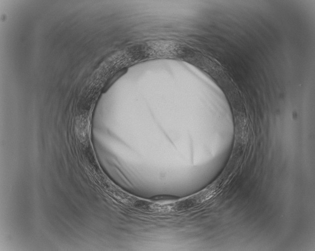 X0000052990701200507291617