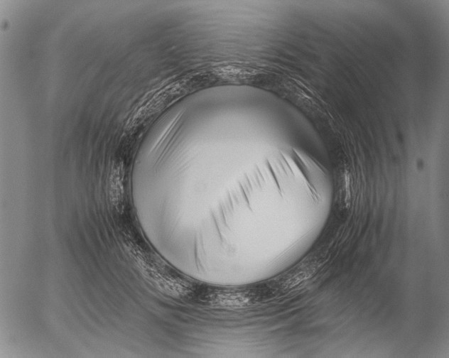 X0000052990702200507291617