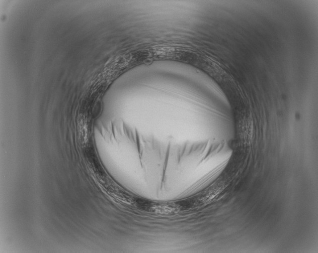 X0000052990703200507291617