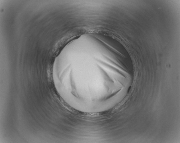 X0000052990720200507291617