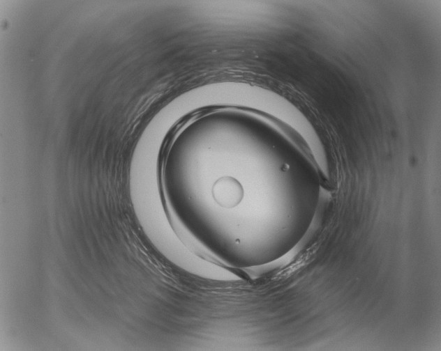 X0000052990762200507291617