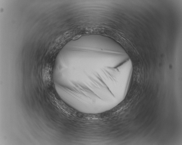 X0000052990770200507291616