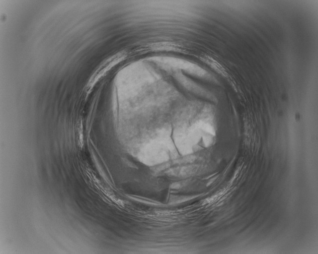 X0000052990782200507291616