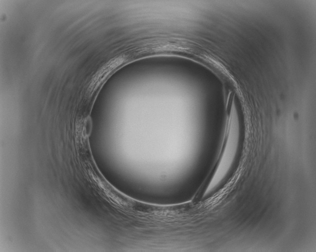 X0000052990793200507291615
