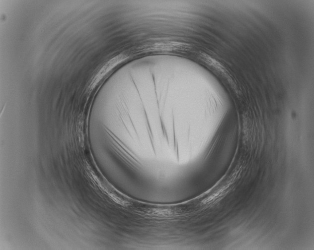 X0000052990794200507291615