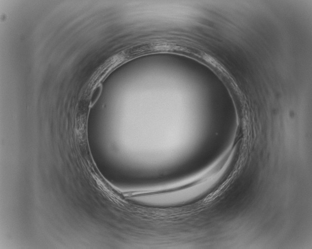 X0000052990801200507291615